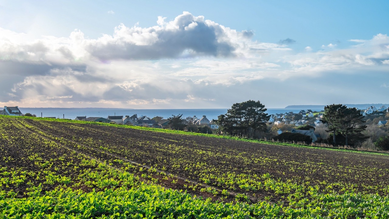 Photo of Others in Saint-Nic