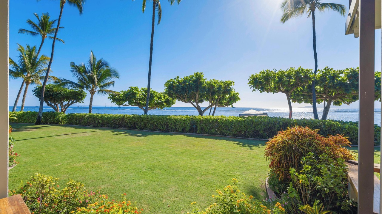 Photo of Others in Historic Lahaina Front Street