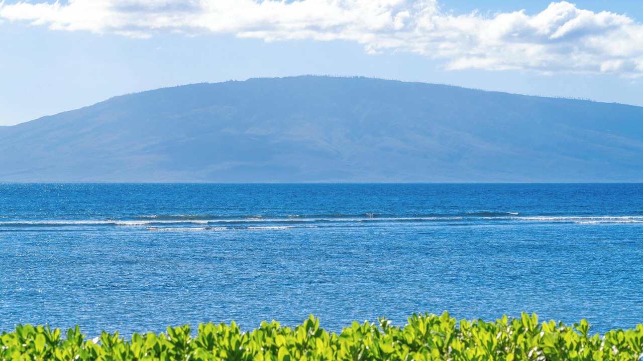 Photo of Others in Historic Lahaina Front Street
