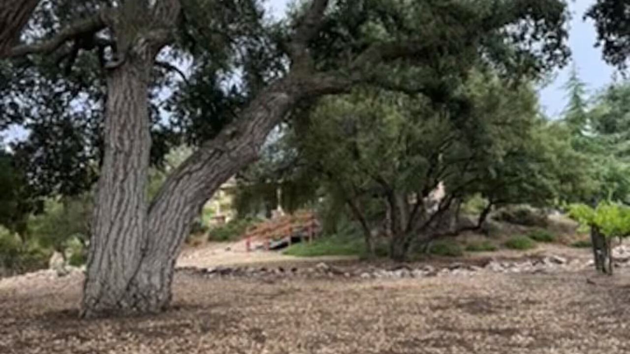 Photo of Others in Warner Springs Ranch