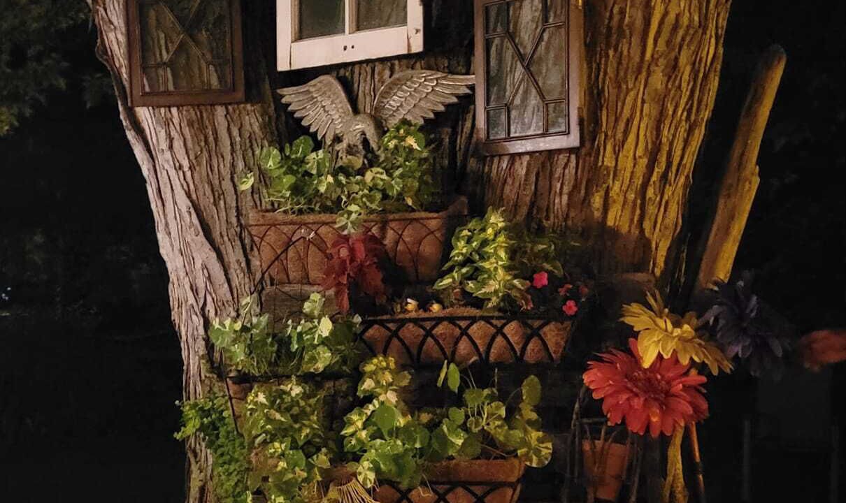 Photo of Outdoor in Tonawanda