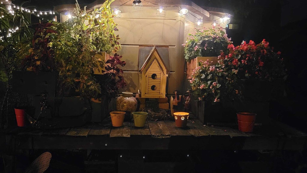 Photo of Outdoor in Tonawanda