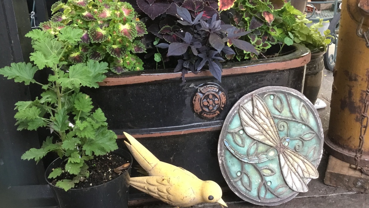 Photo of Outdoor in Tonawanda