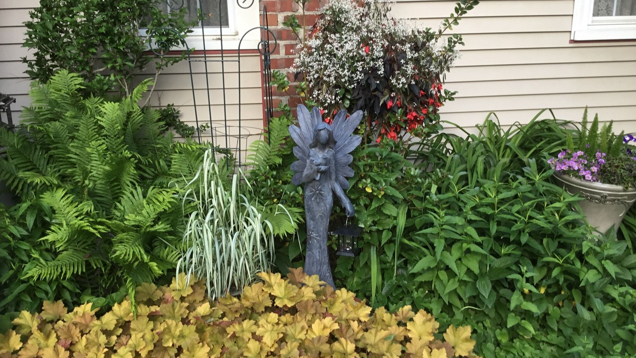 Photo of Outdoor in Tonawanda