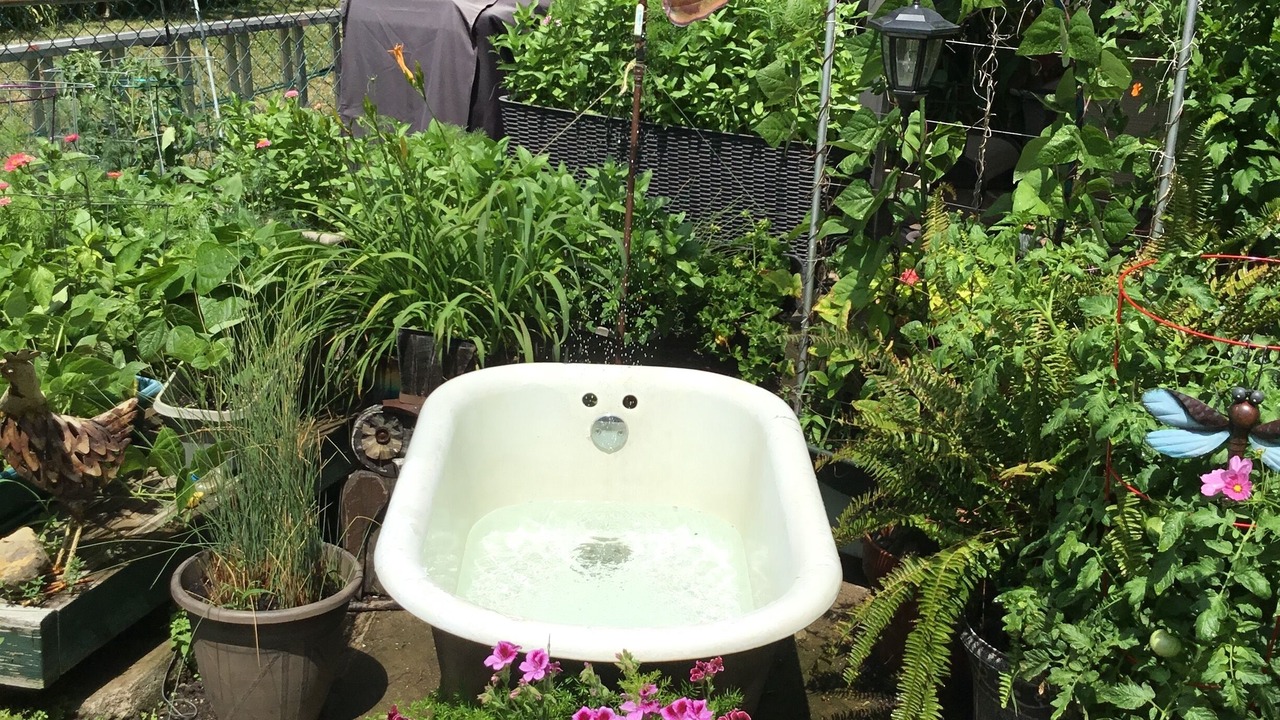 Photo of Outdoor in Tonawanda