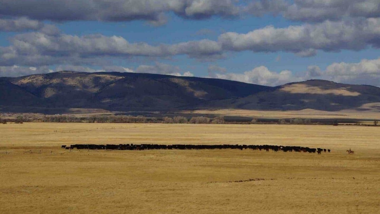 Photo of Others in Laramie