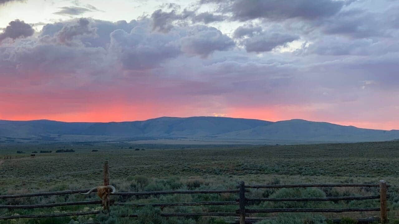 Photo of Others in Laramie