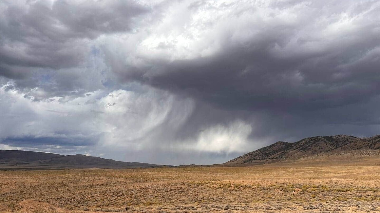 Photo of Others in Laramie