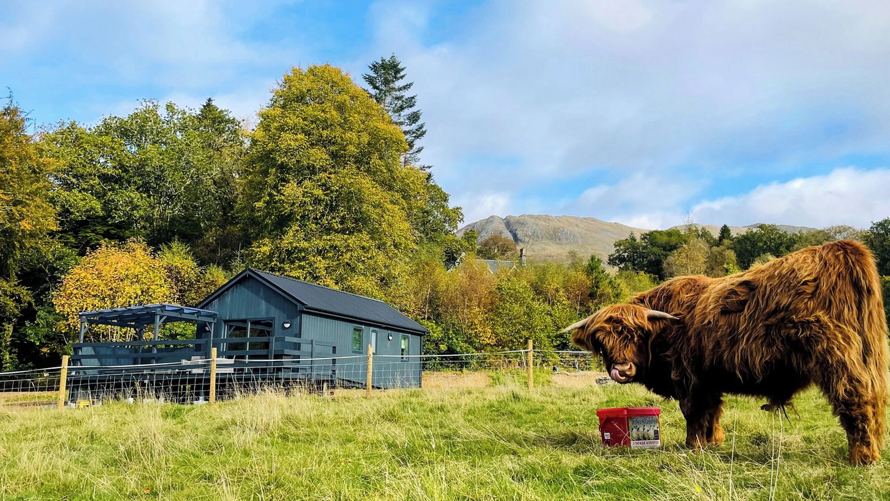 Photo of Others in Duror