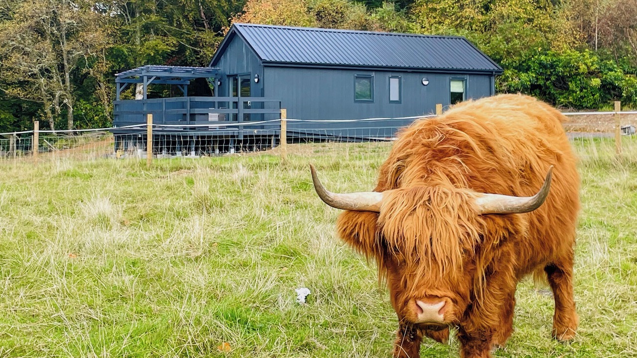 Photo of Outdoor in Duror