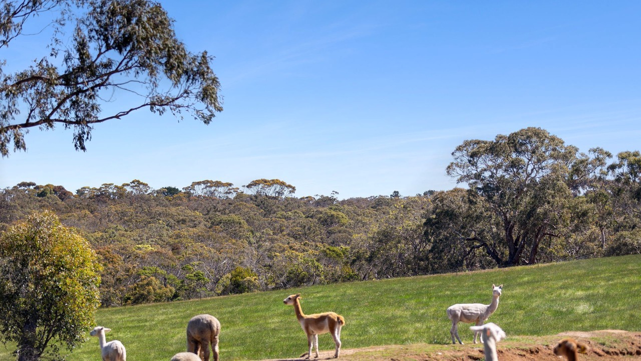 Photo of Others in Bellbrae