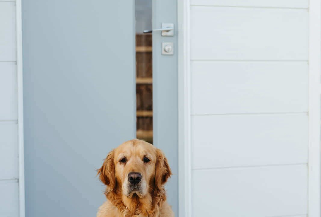 Photo of Outdoor in Capel Sound