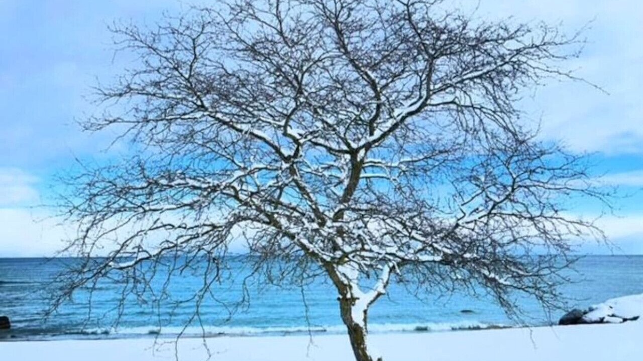 Photo of Others in Meaford