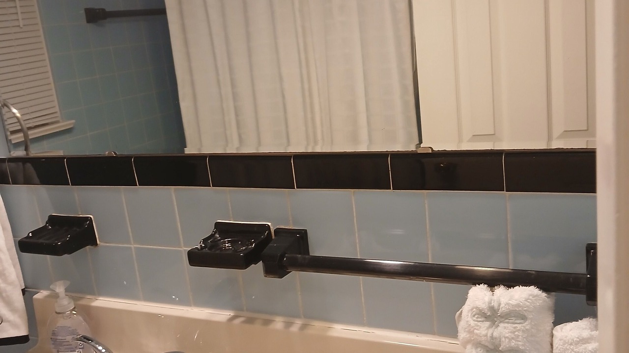 Photo of Bathroom in West Oakville