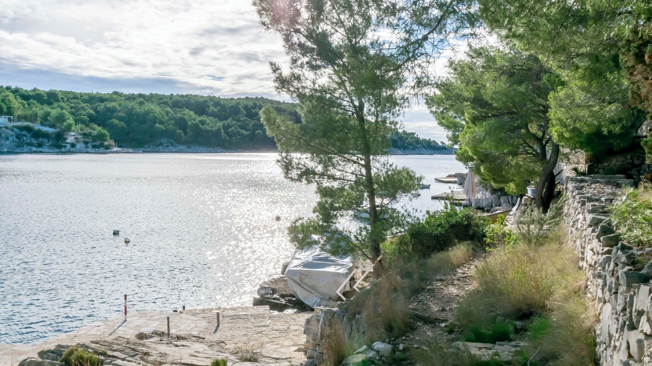 Photo of Others in Cove Osibova (Milna)