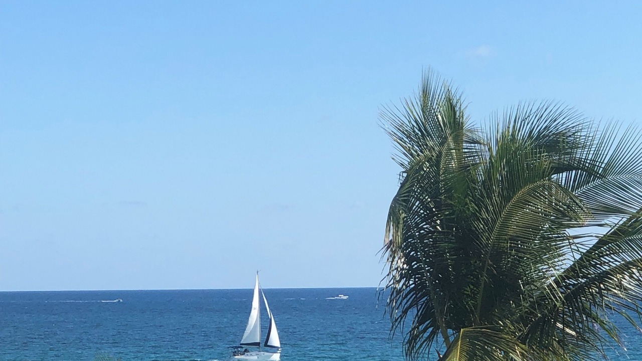 Photo of Others in Hillsboro Beach