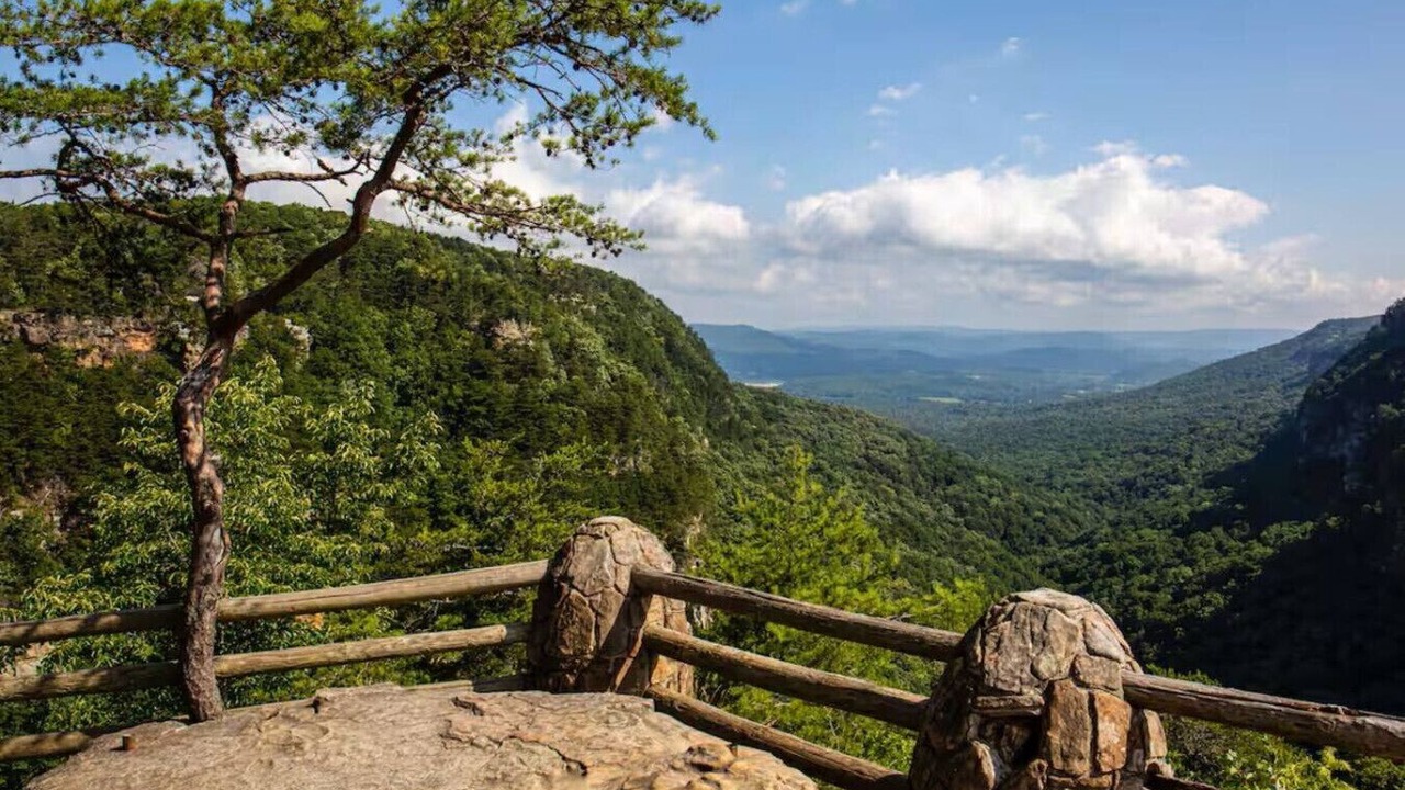 Photo of Outdoor in Mentone