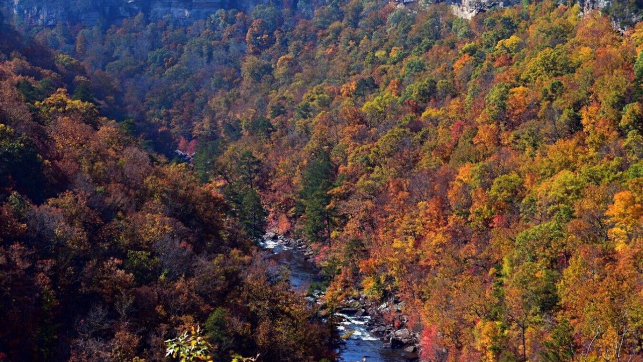 Photo of Outdoor in Mentone