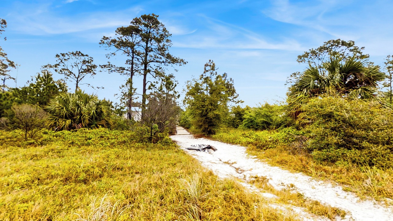 Photo of Others in Carrabelle
