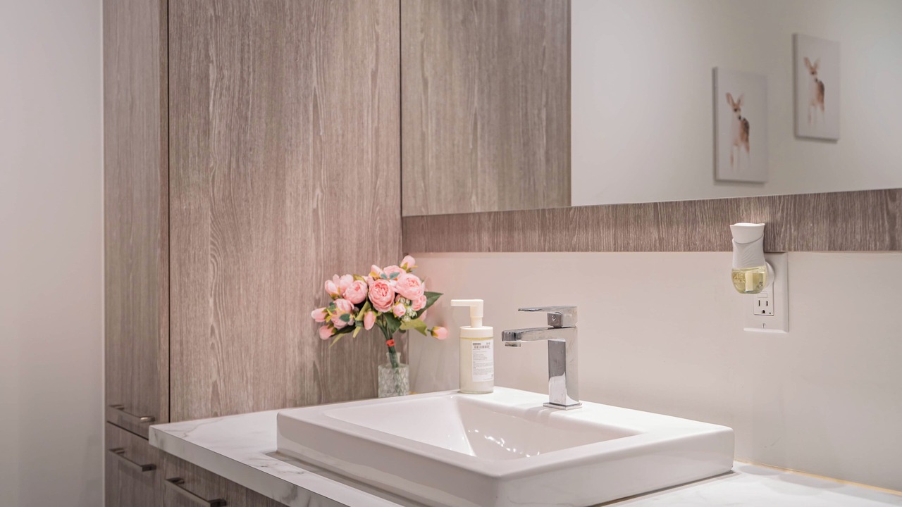 Photo of Bathroom in Lafleche