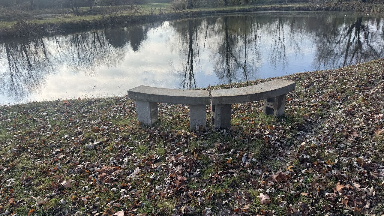 Photo of Outdoor in West Newton
