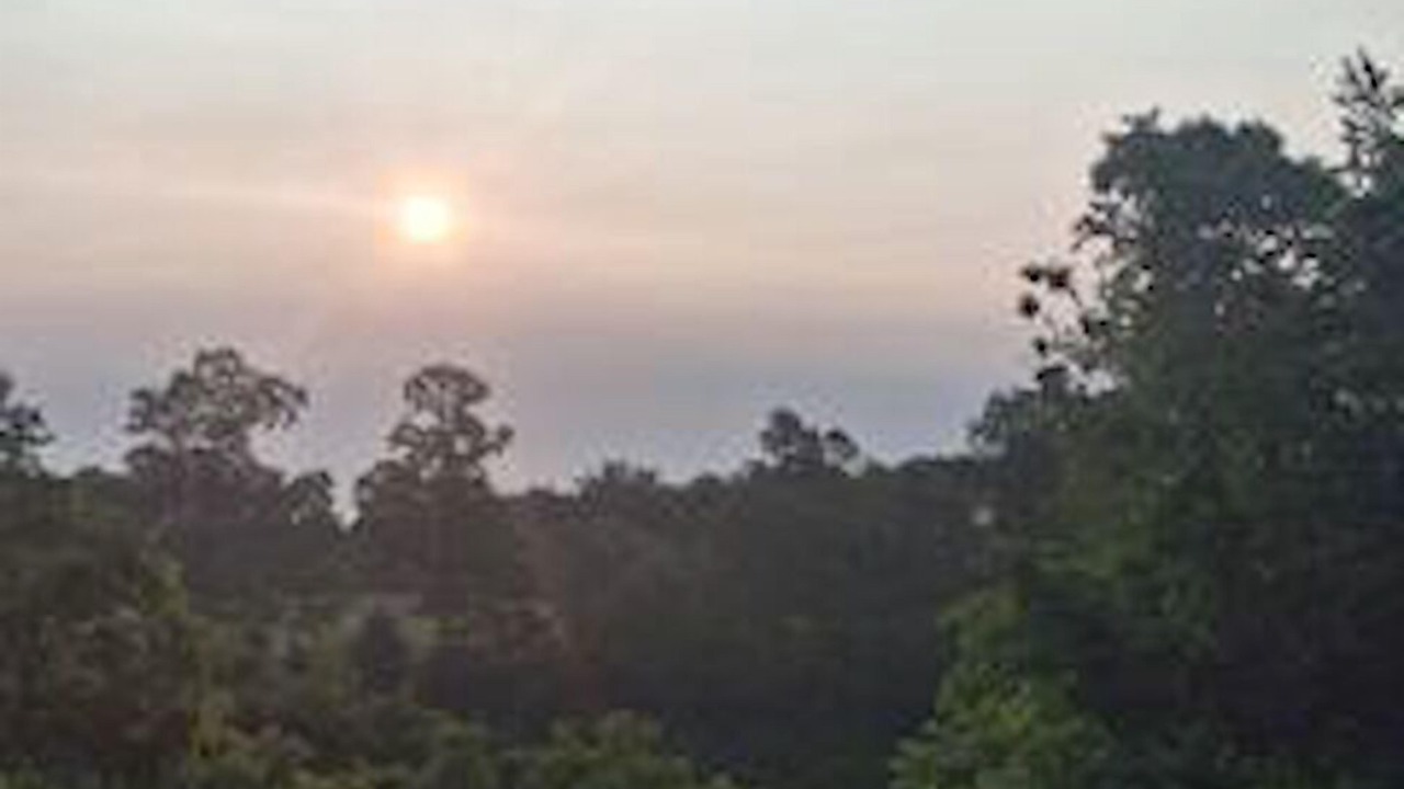 Photo of Others in Harrison
