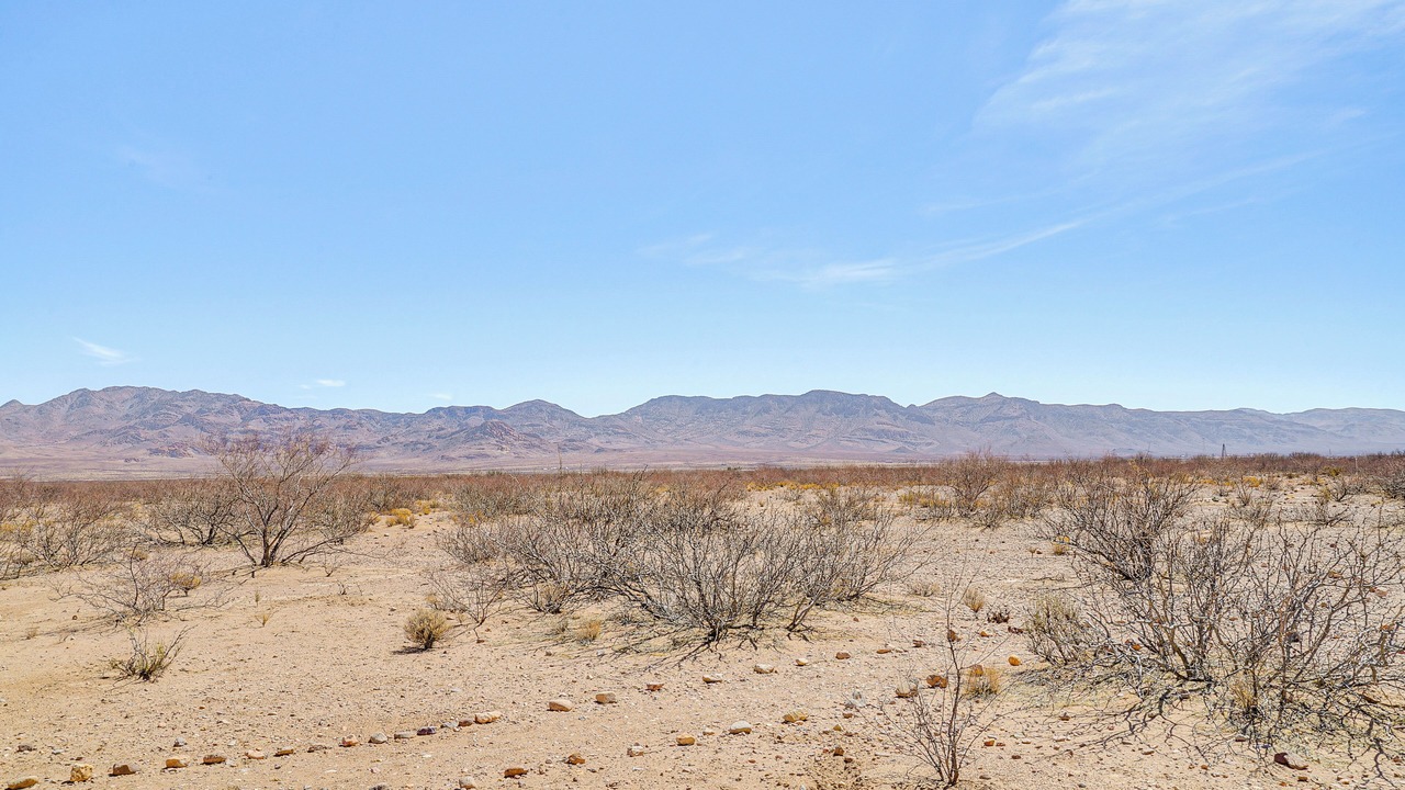 Photo of Others in Rodeo