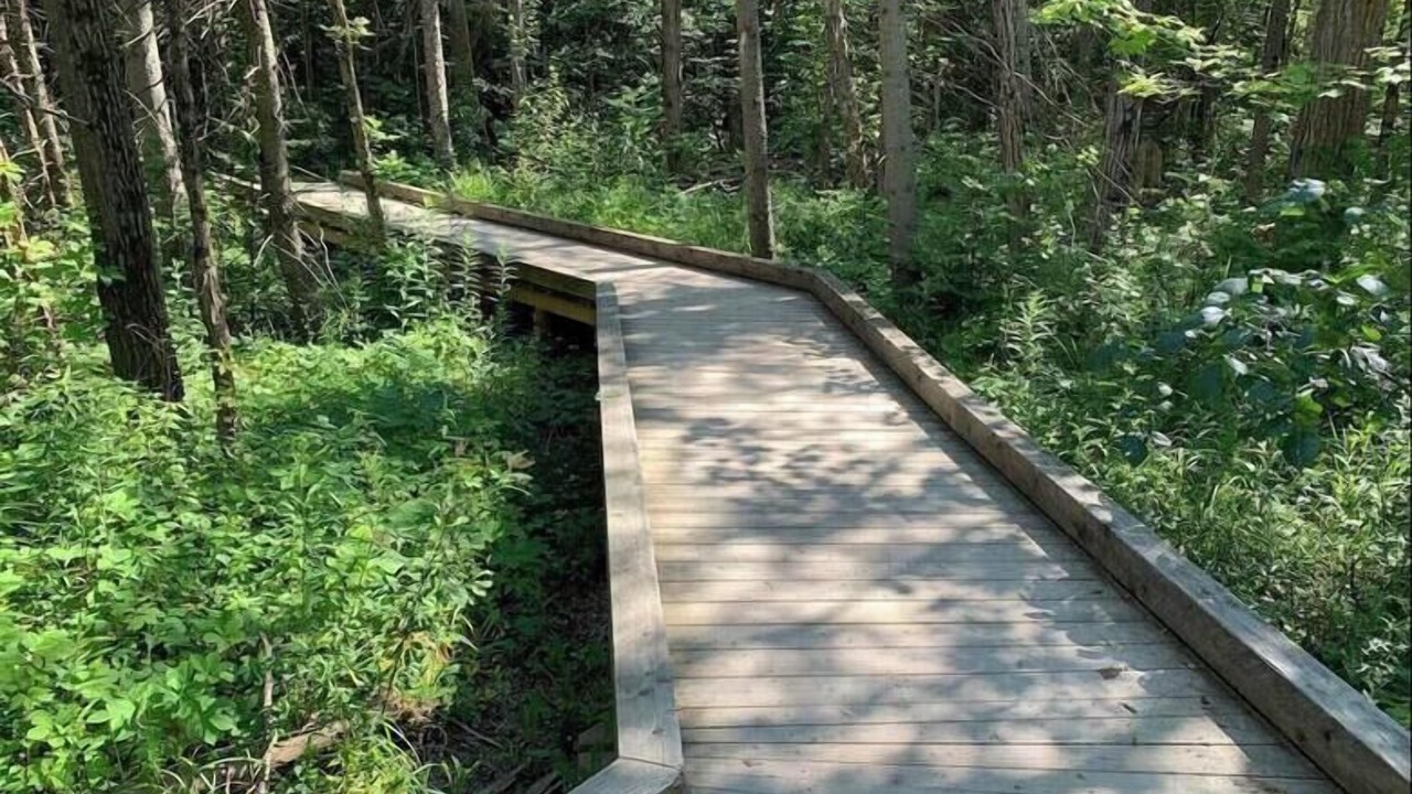 Photo of Outdoor in Innisfil