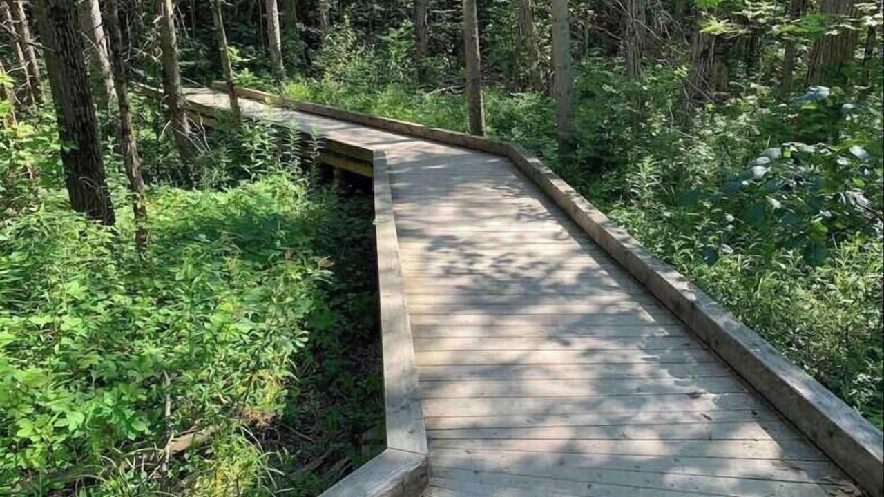 Photo of Outdoor in Innisfil