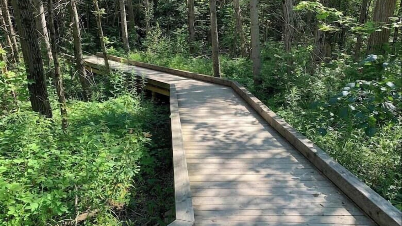 Photo of Outdoor in Innisfil
