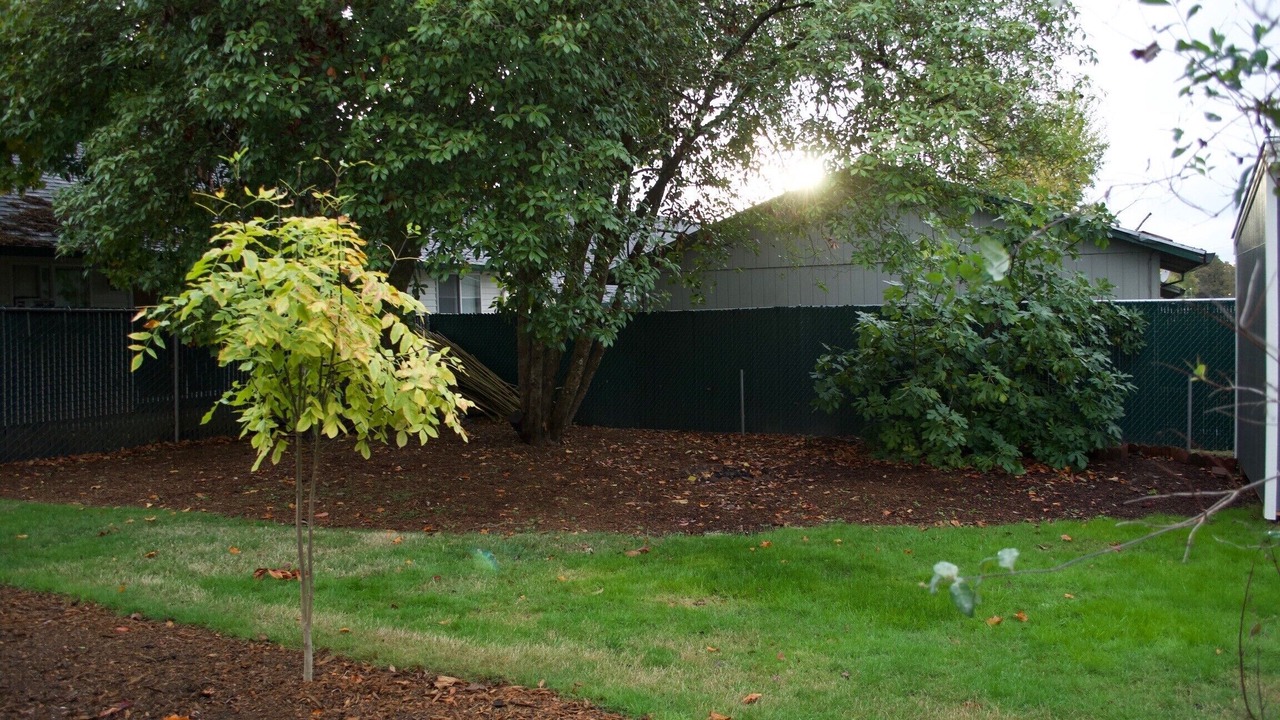 Photo of Outdoor in Milwaukie