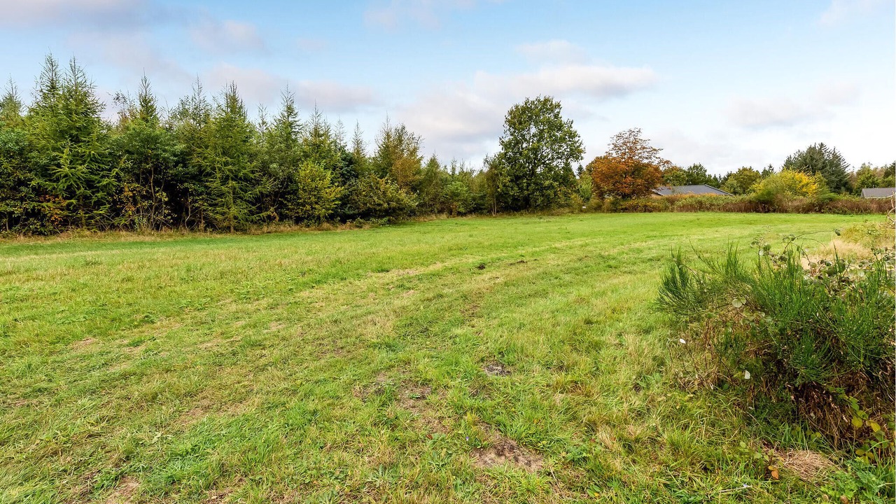 Photo of Others in Arrild Ferieby