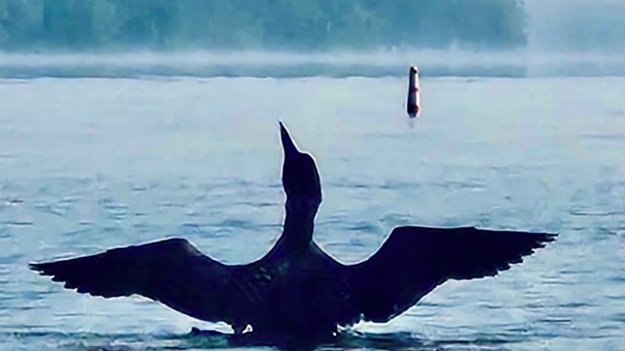 Photo of Others in Schroon Lake