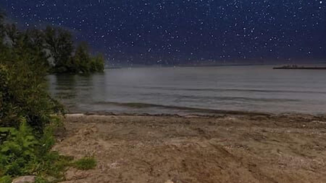 Photo of Others in Alcona