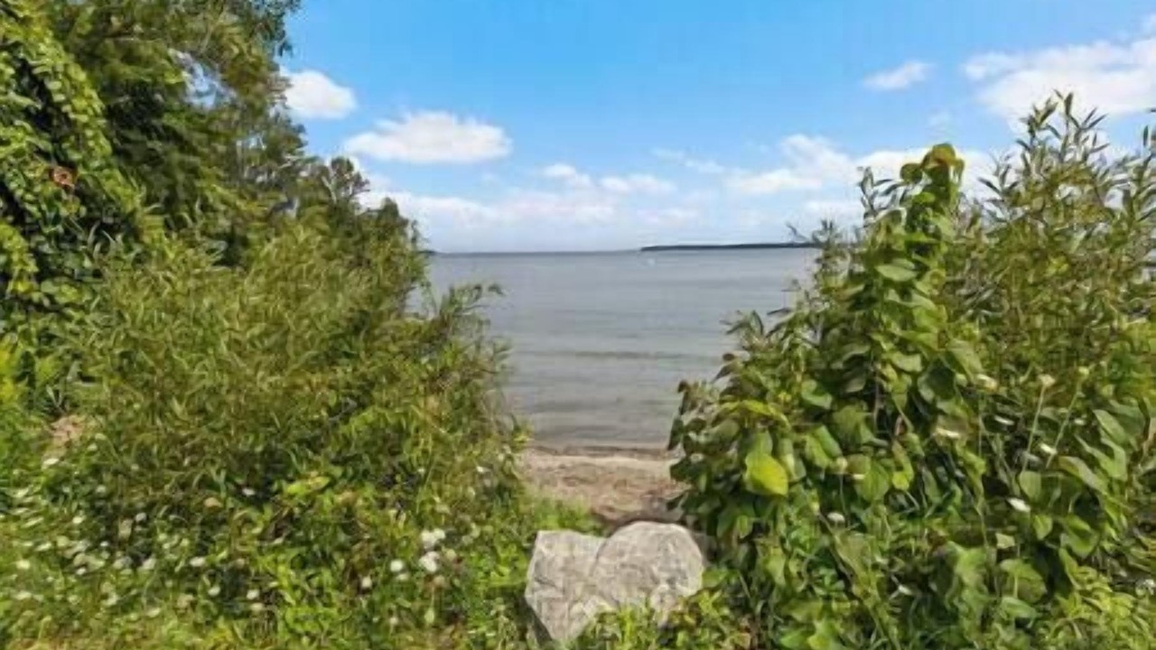 Photo of Others in Alcona