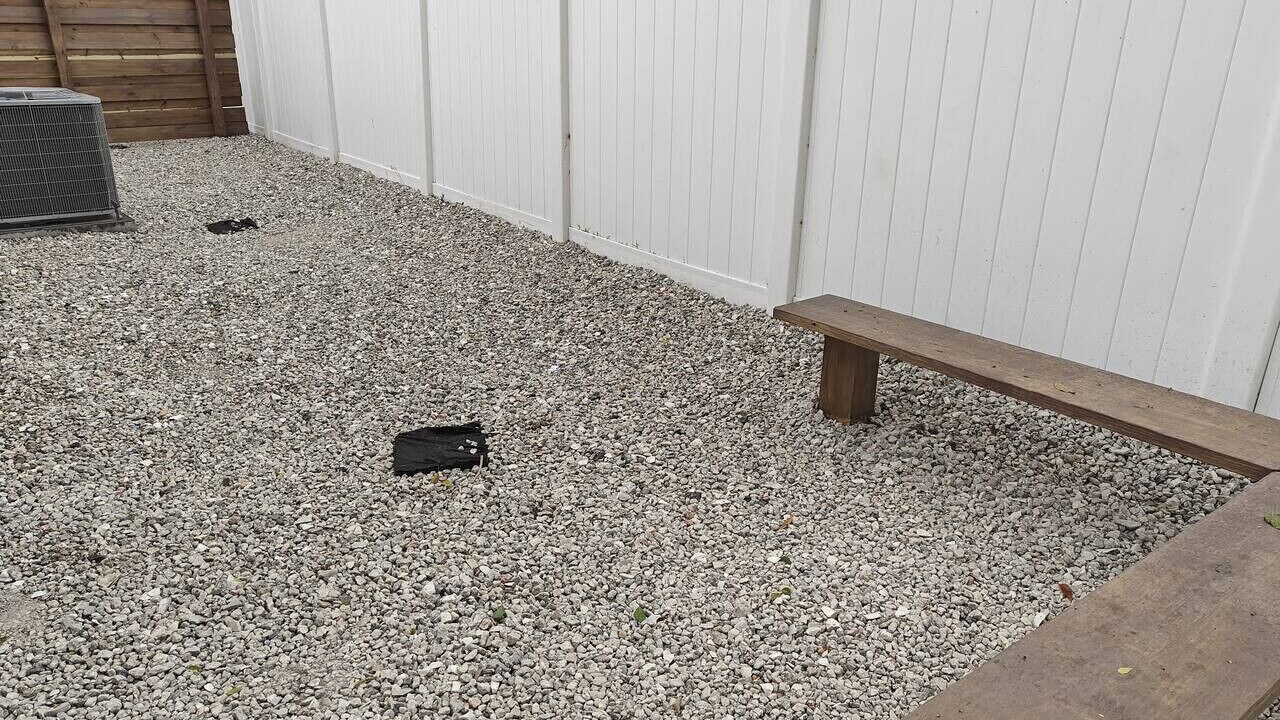 Photo of Outdoor in College Park