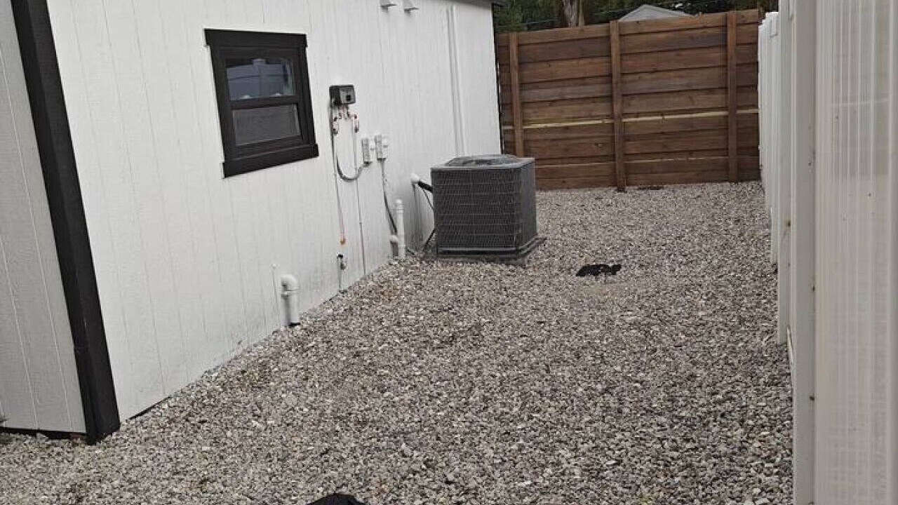 Photo of Outdoor in College Park