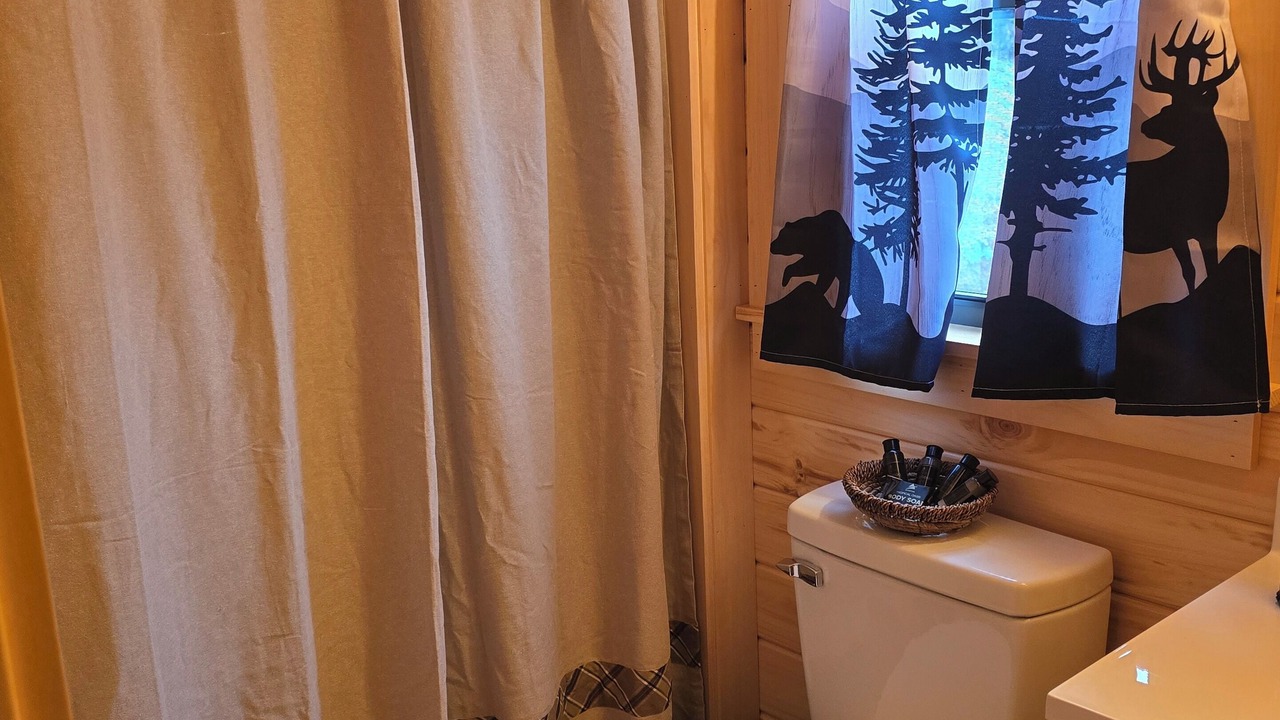 Photo of Bathroom in Vein Mountain