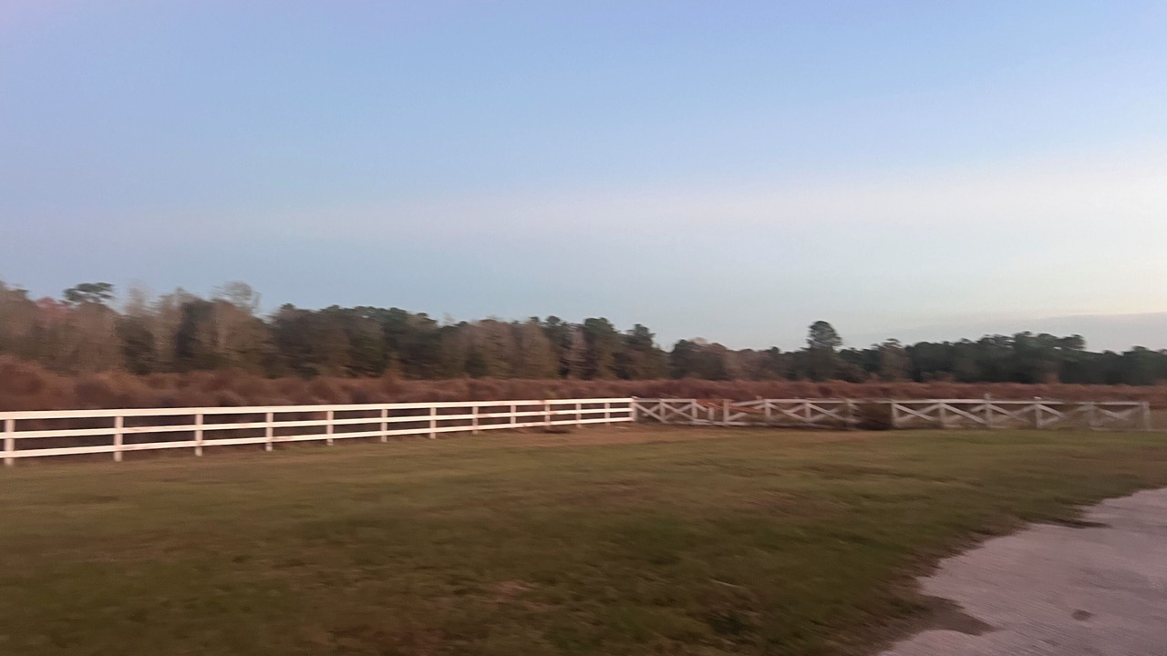 Photo of Others in Waller