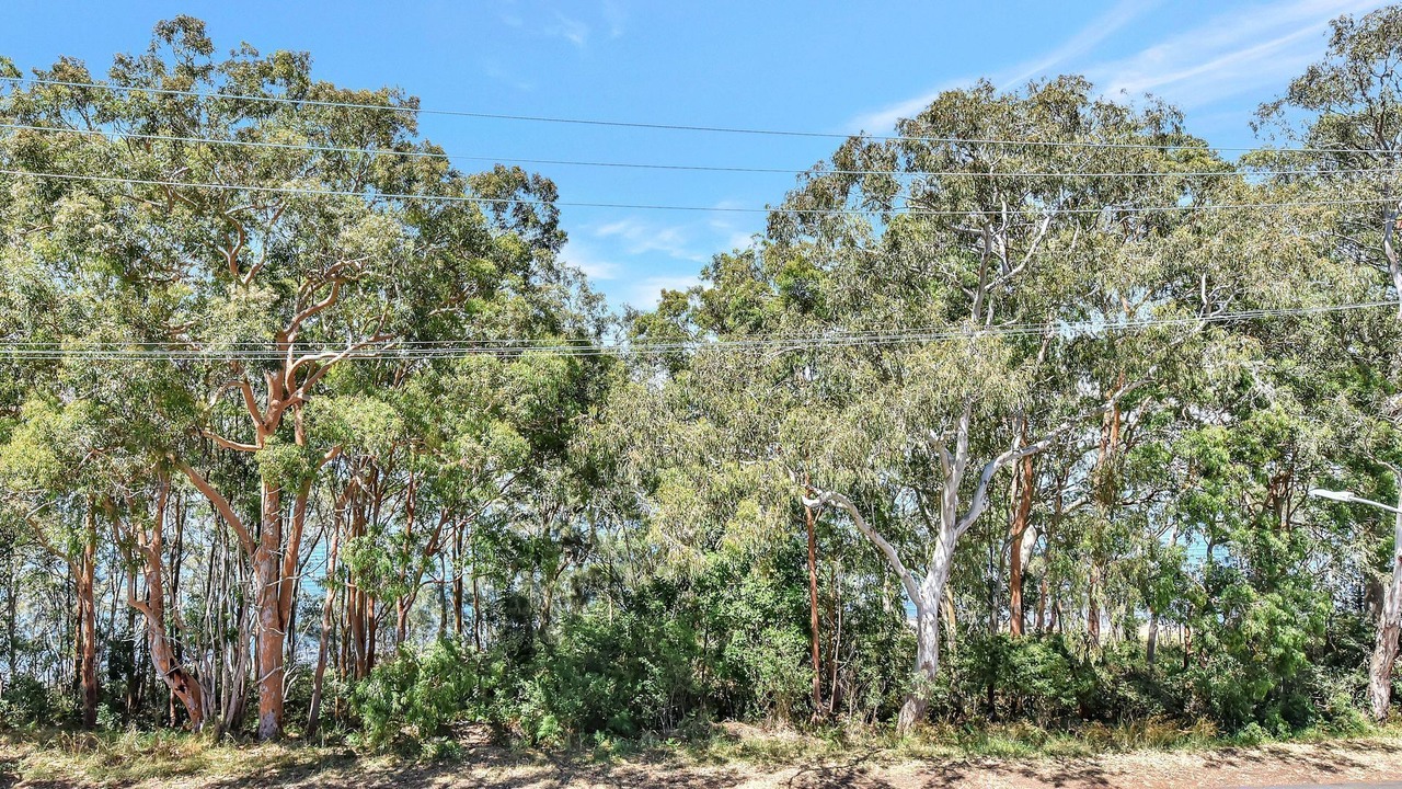 Photo of Others in Wangi Wangi