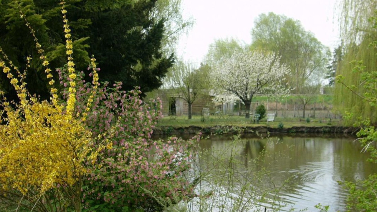 Photo of Outdoor in Contres