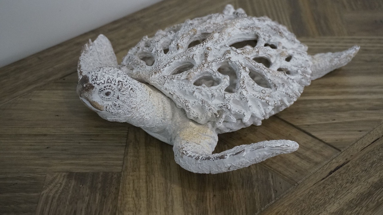 Photo of Others in Malua Bay