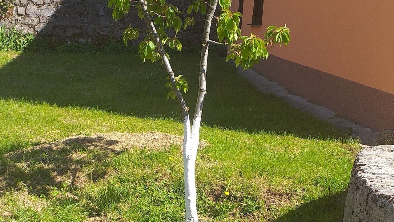 Photo of Outdoor in Senj
