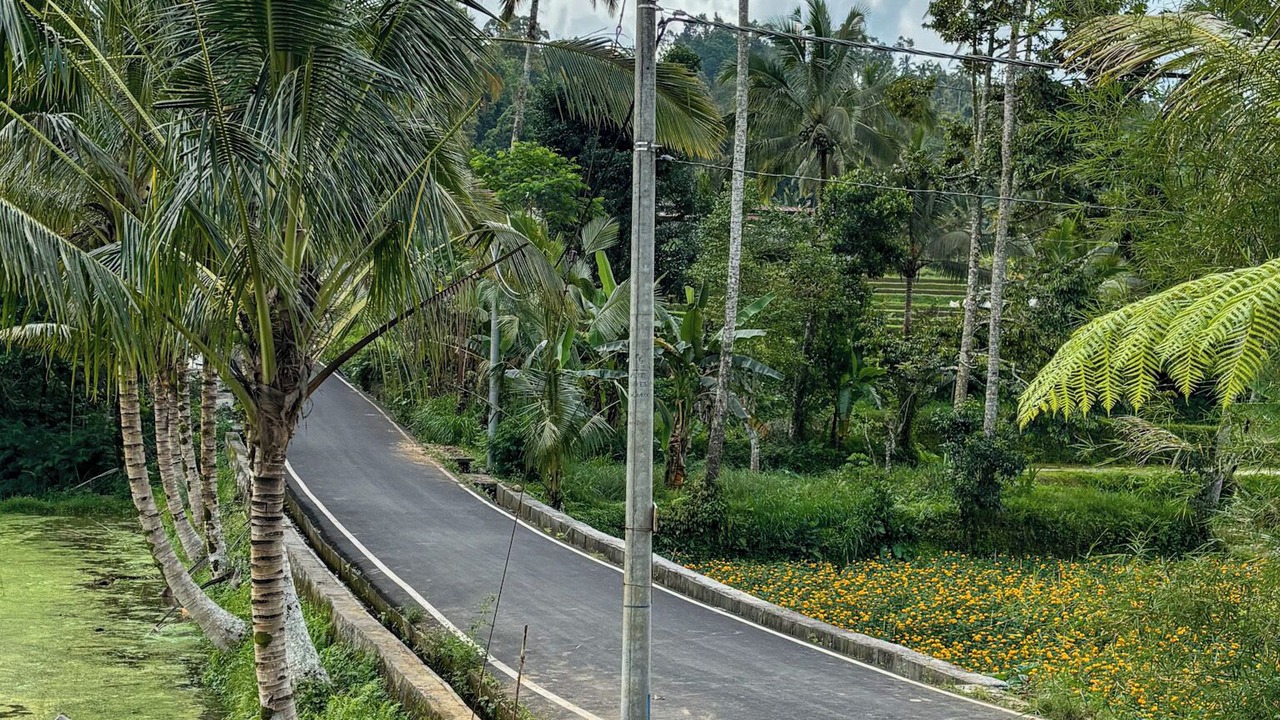 Photo of Outdoor in Nungnung