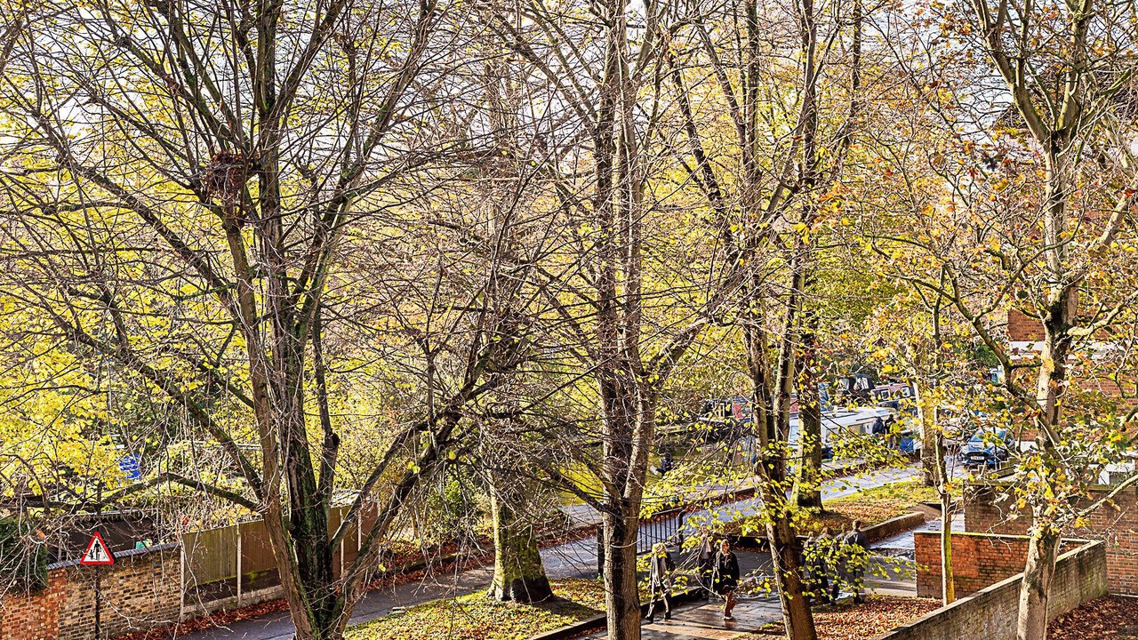 Photo of Others in Haggerston