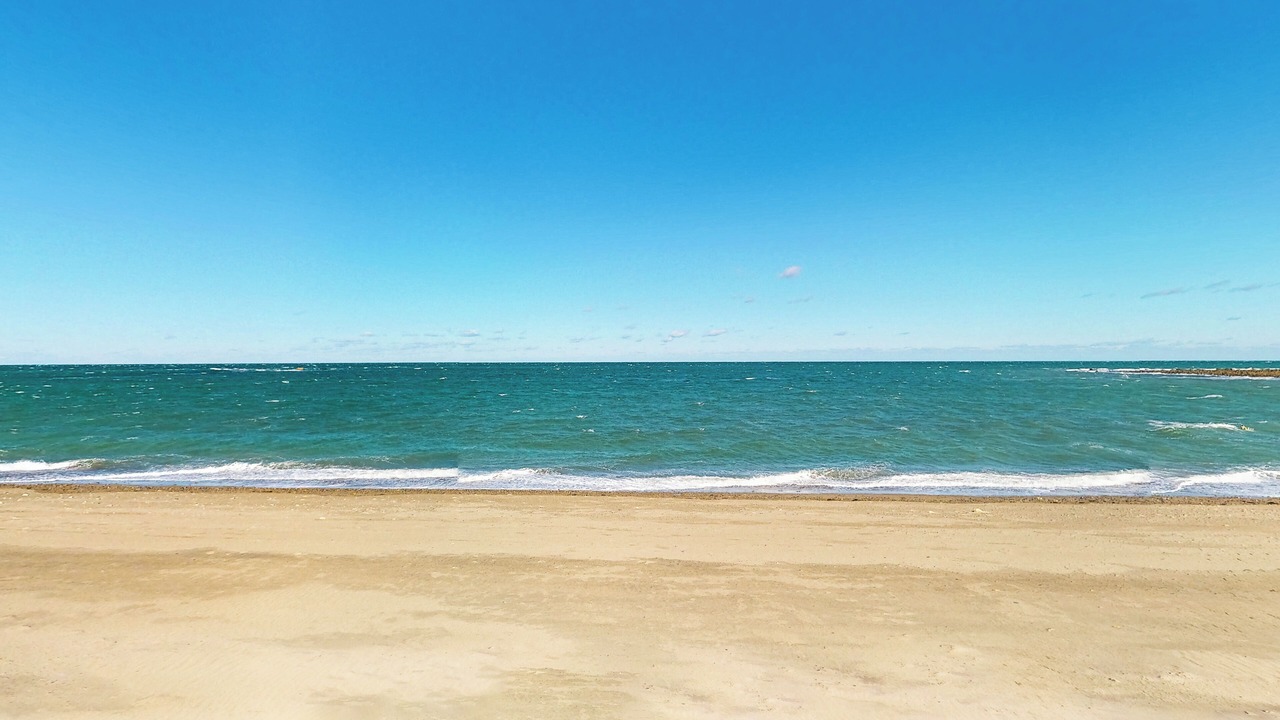 Photo of Others in Scituate