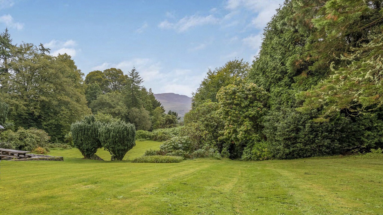 Photo of Others in Colintraive