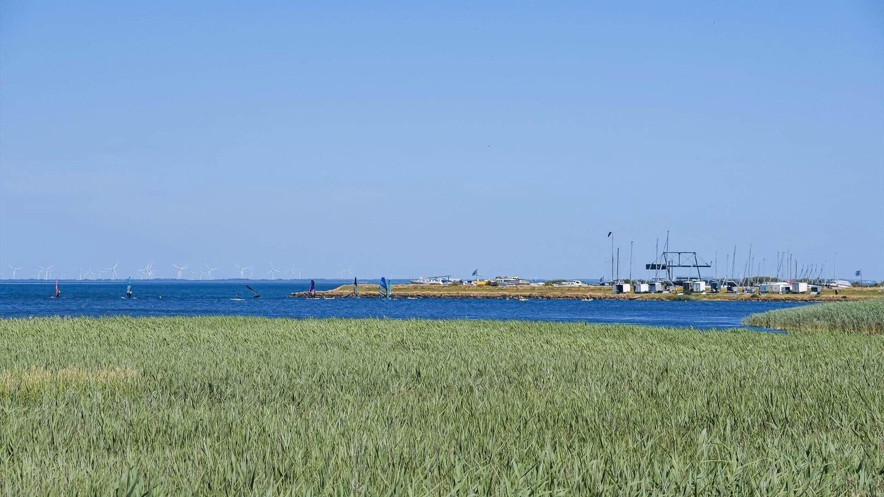 Photo of Others in Bork Havn