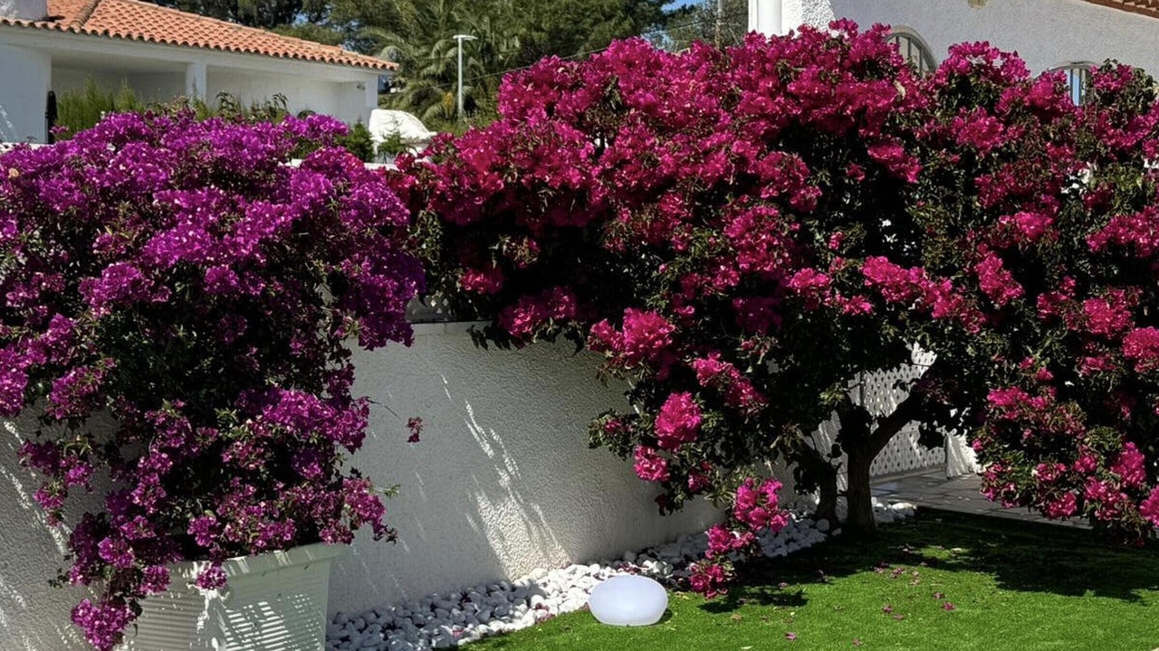 Photo of Outdoor in Miami Platja