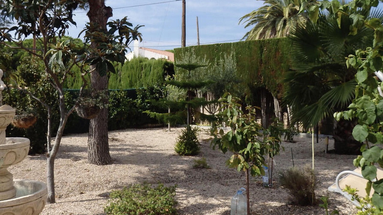 Photo of Outdoor in Miami Platja